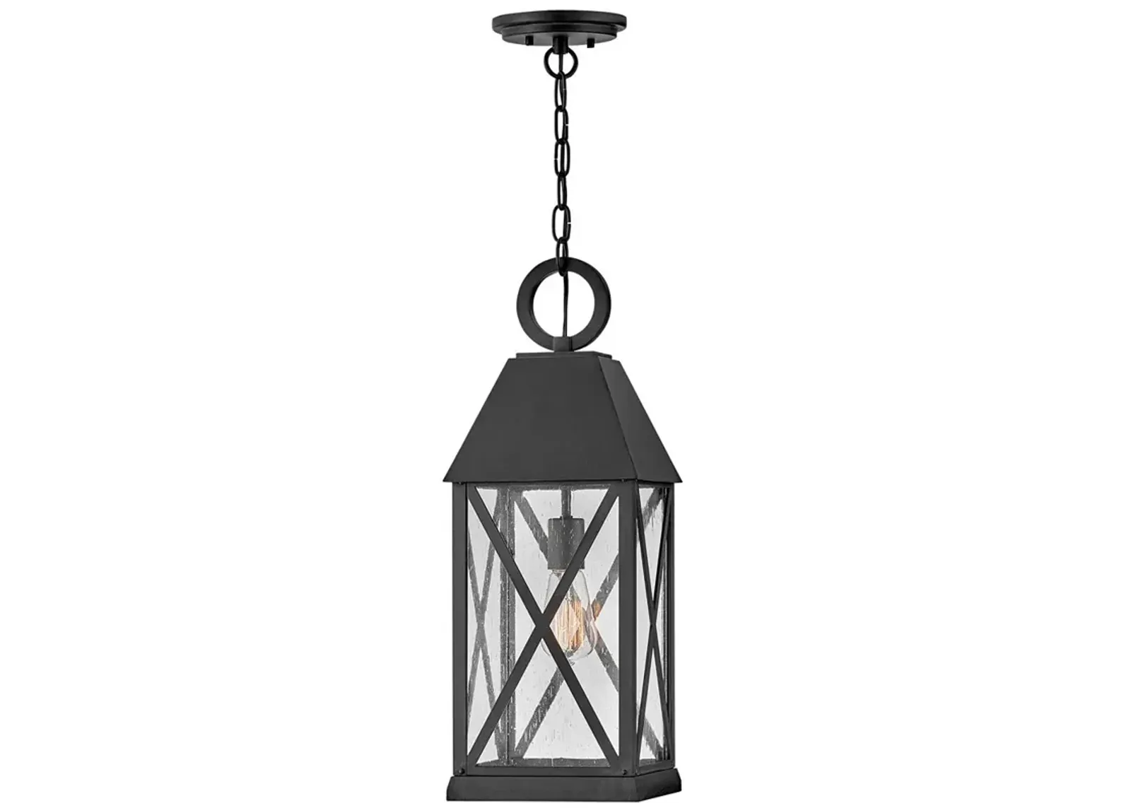 Hinkley Outdoor Briar Large Hanging Lantern 8" Museum Black