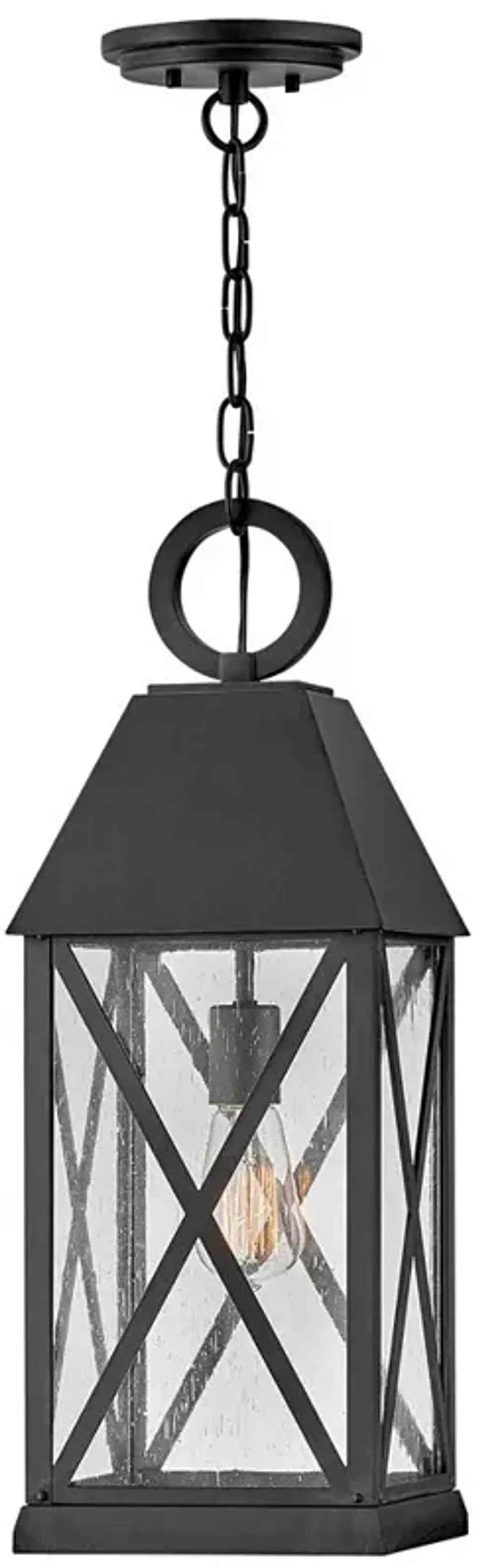 Hinkley Outdoor Briar Large Hanging Lantern 8" Museum Black