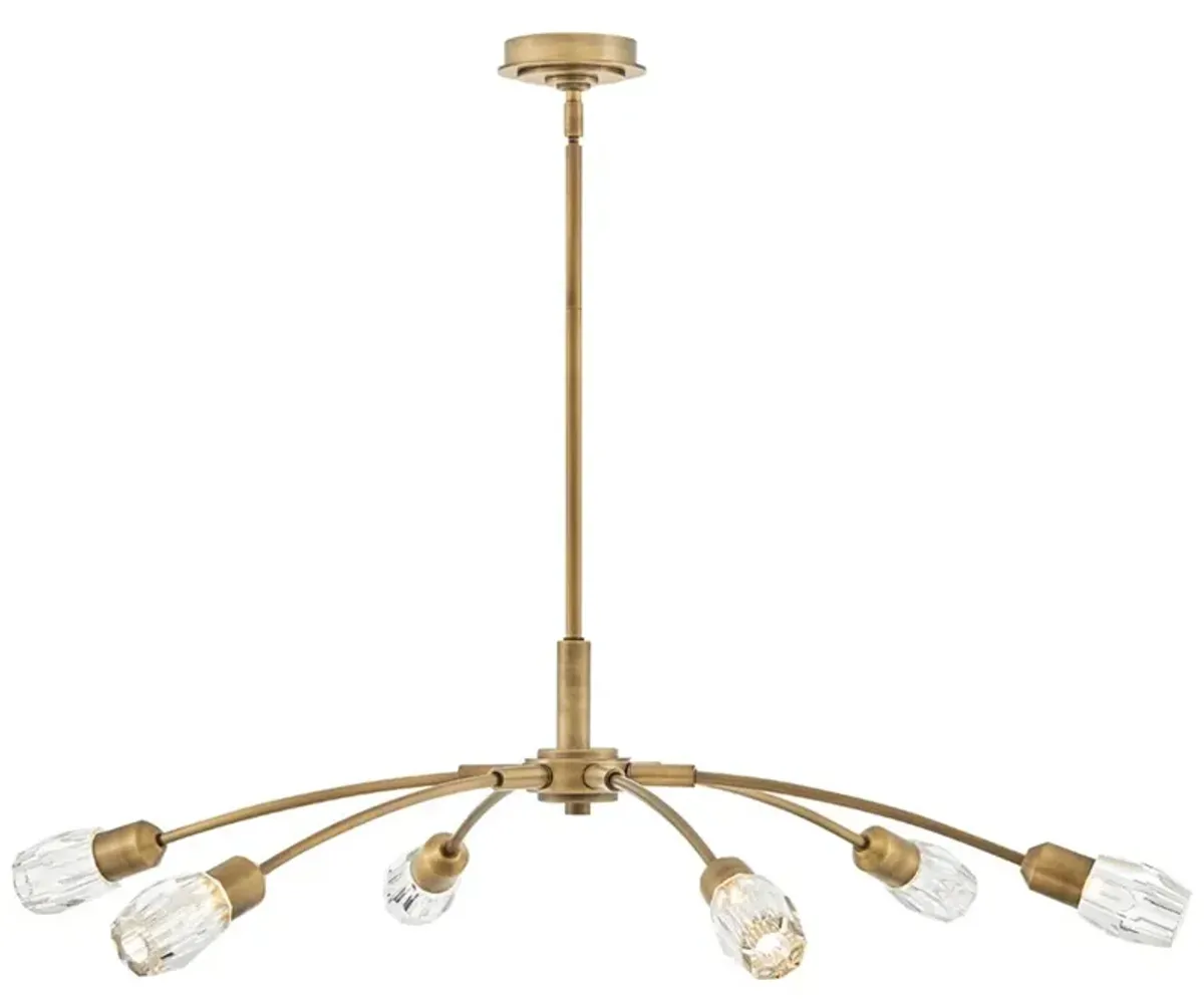 FREDRICK RAMOND CHANDELIER ATERA Large Single Tier Heritage Brass