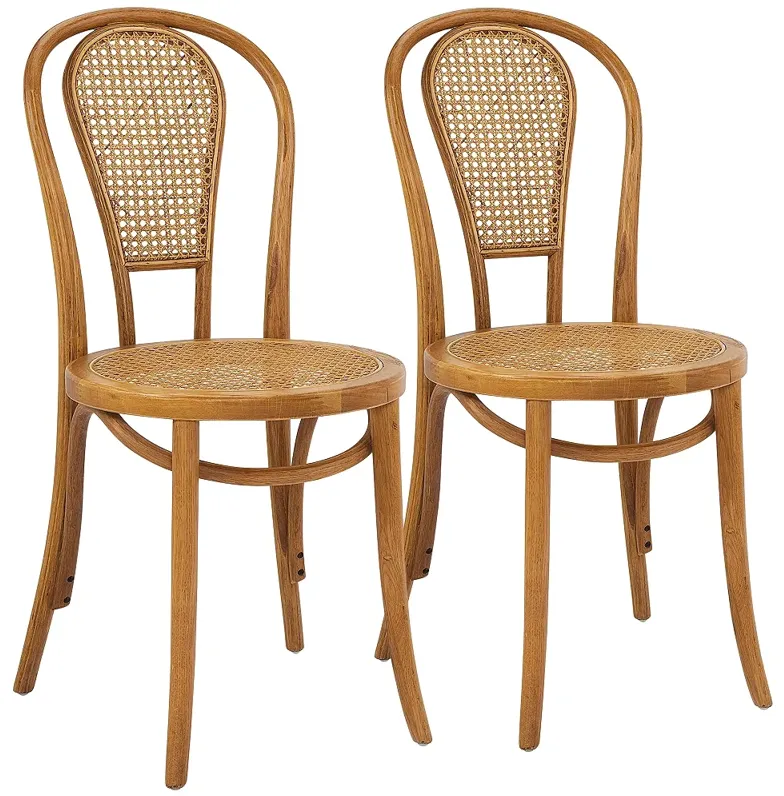 Liva Natural and Walnut Side Chairs Set of 2