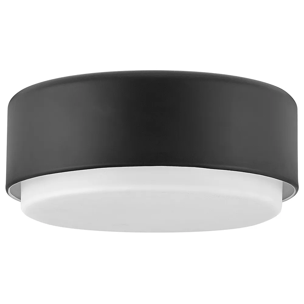 Cedric 12" Wide Black Ceiling Light by Hinkley Lighting