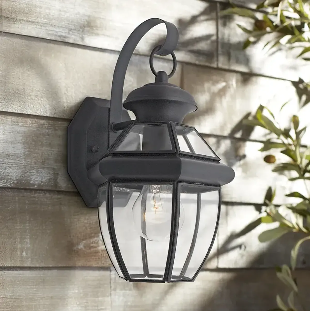 Quoizel Newbury 11 1/2" High Mystic Black Outdoor Wall Light