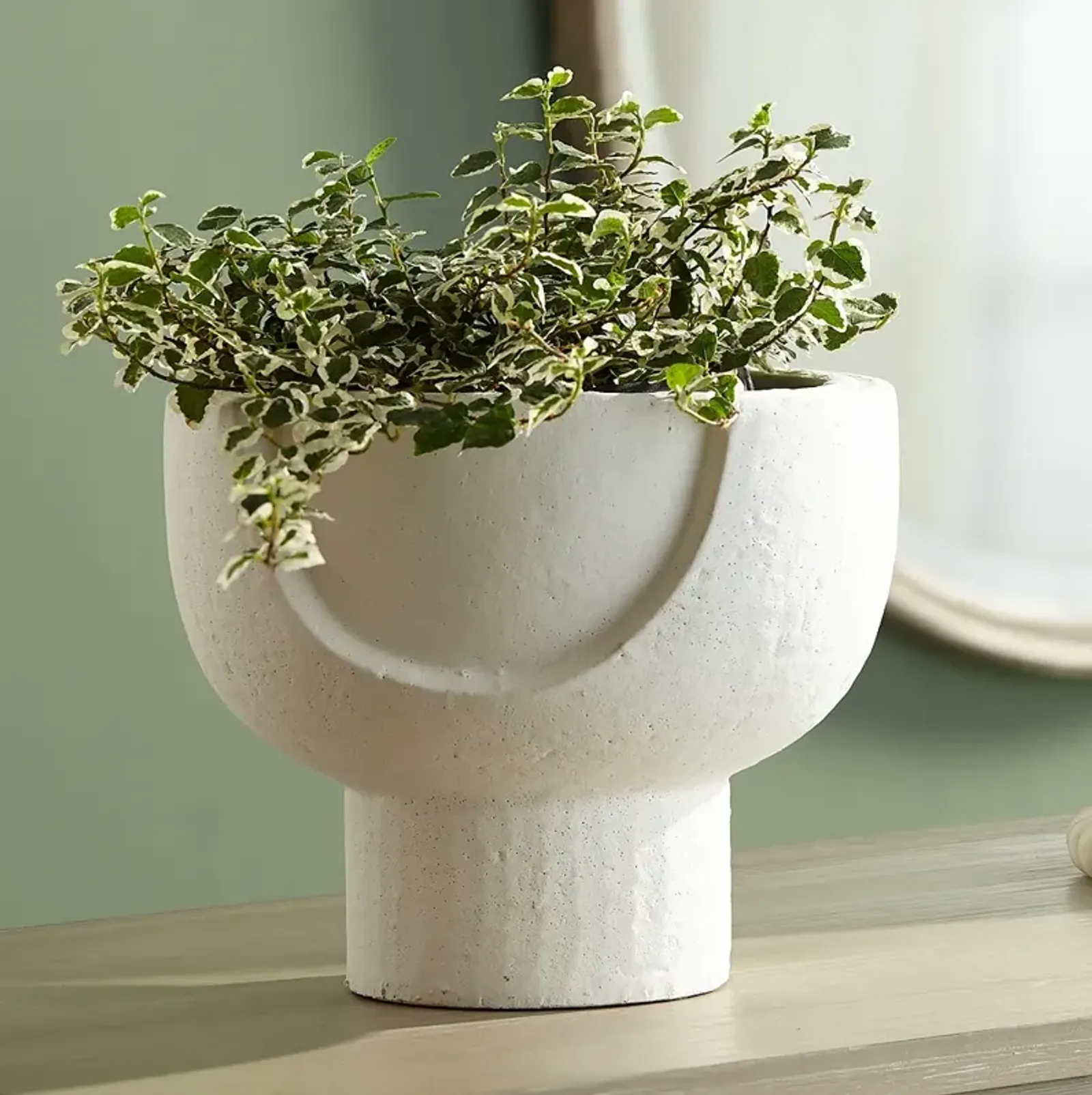 Bletheny White Ceramic Pedestal Decorative Bowl