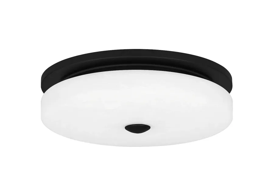 Tavani Integrated LED Matte Black Flush Mount