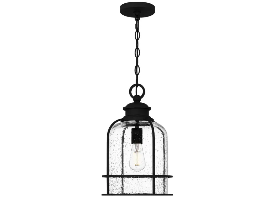 Bowles 1-Light Earth Black Outdoor Hanging Lantern