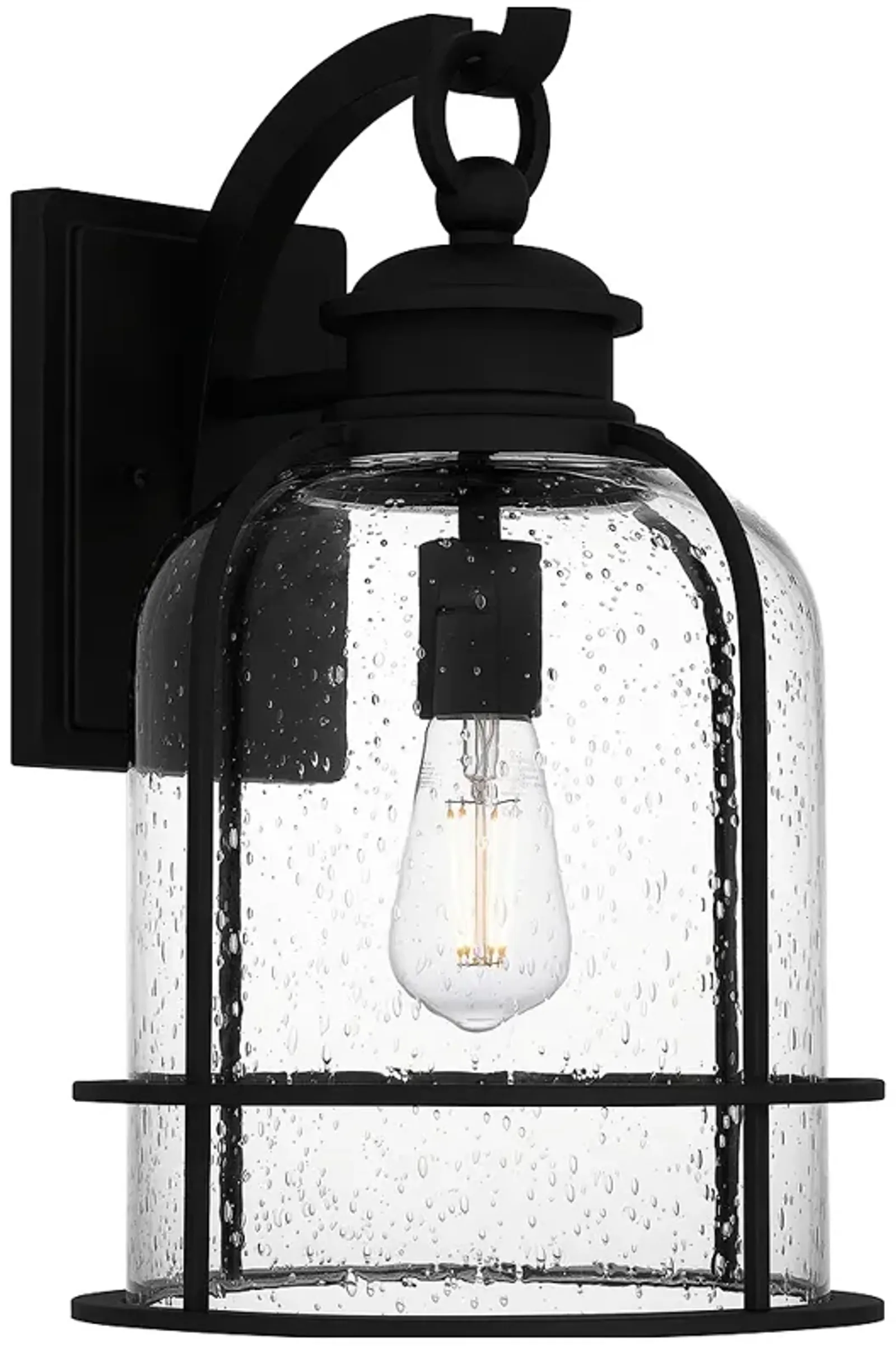 Bowles 1-Light Earth Black Outdoor Wall Lantern