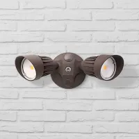 Eco-Star 13" Wide LED Security Flood Light in Bronze