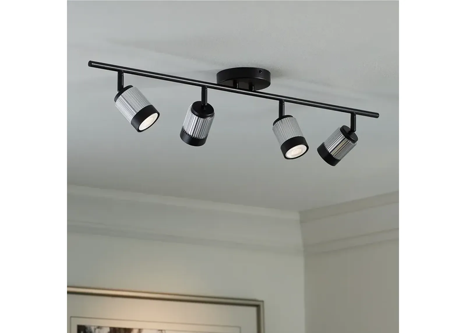 Pro Track  4-Light Black/Brushed Nickel LED Ceiling or Wall Track Fixture