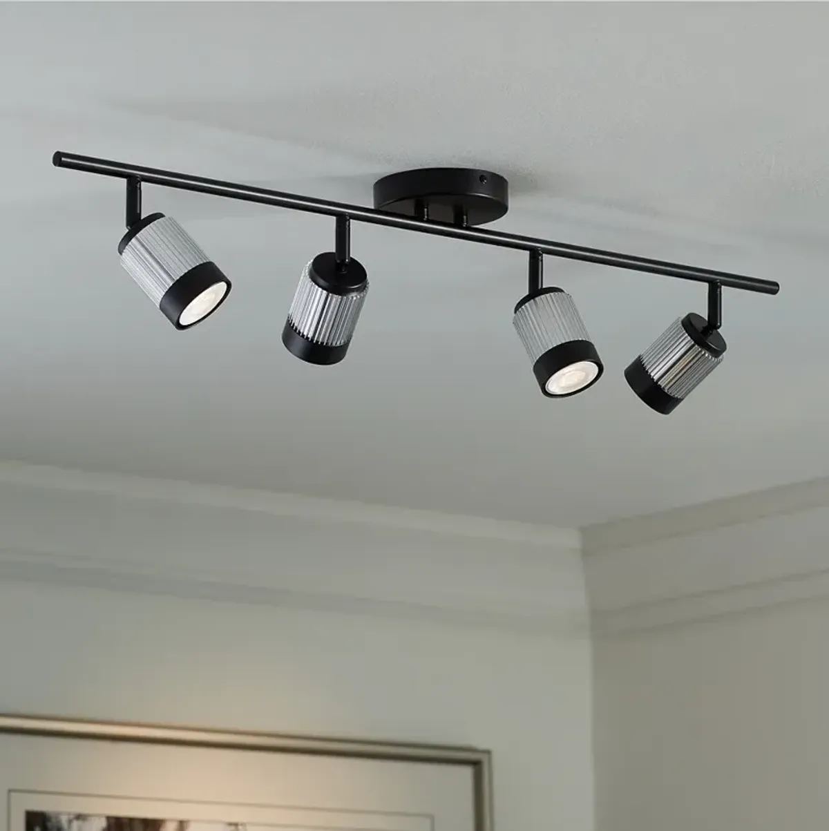 Pro Track  4-Light Black/Brushed Nickel LED Ceiling or Wall Track Fixture