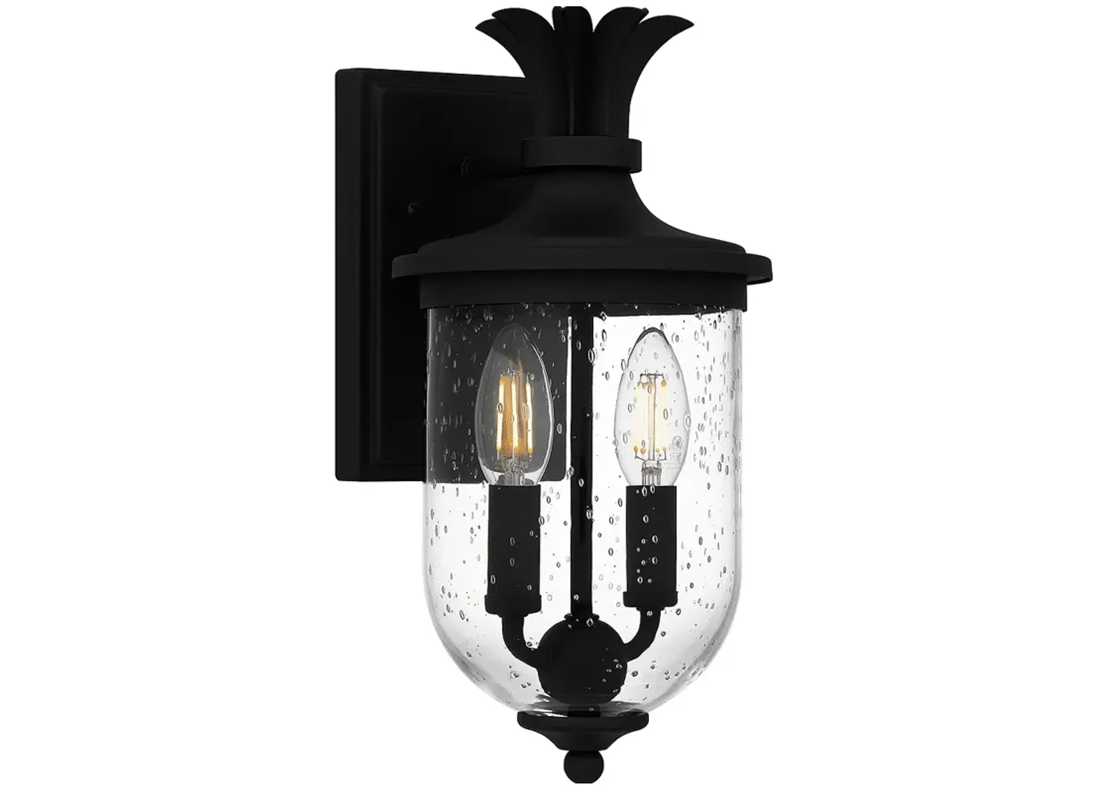 Havana 2-Light Earth Black Outdoor Wall Lantern