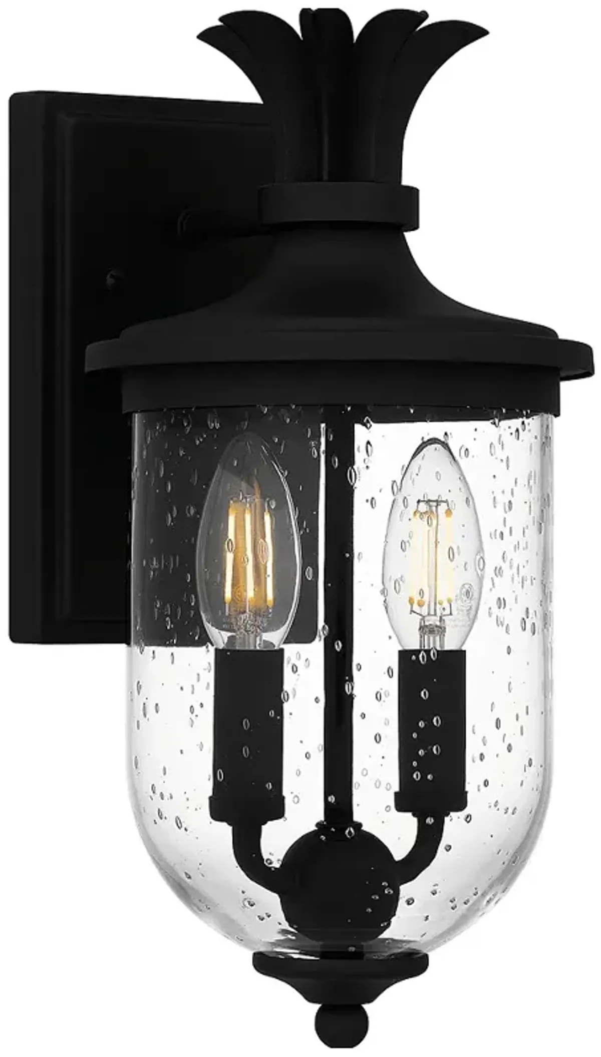 Havana 2-Light Earth Black Outdoor Wall Lantern