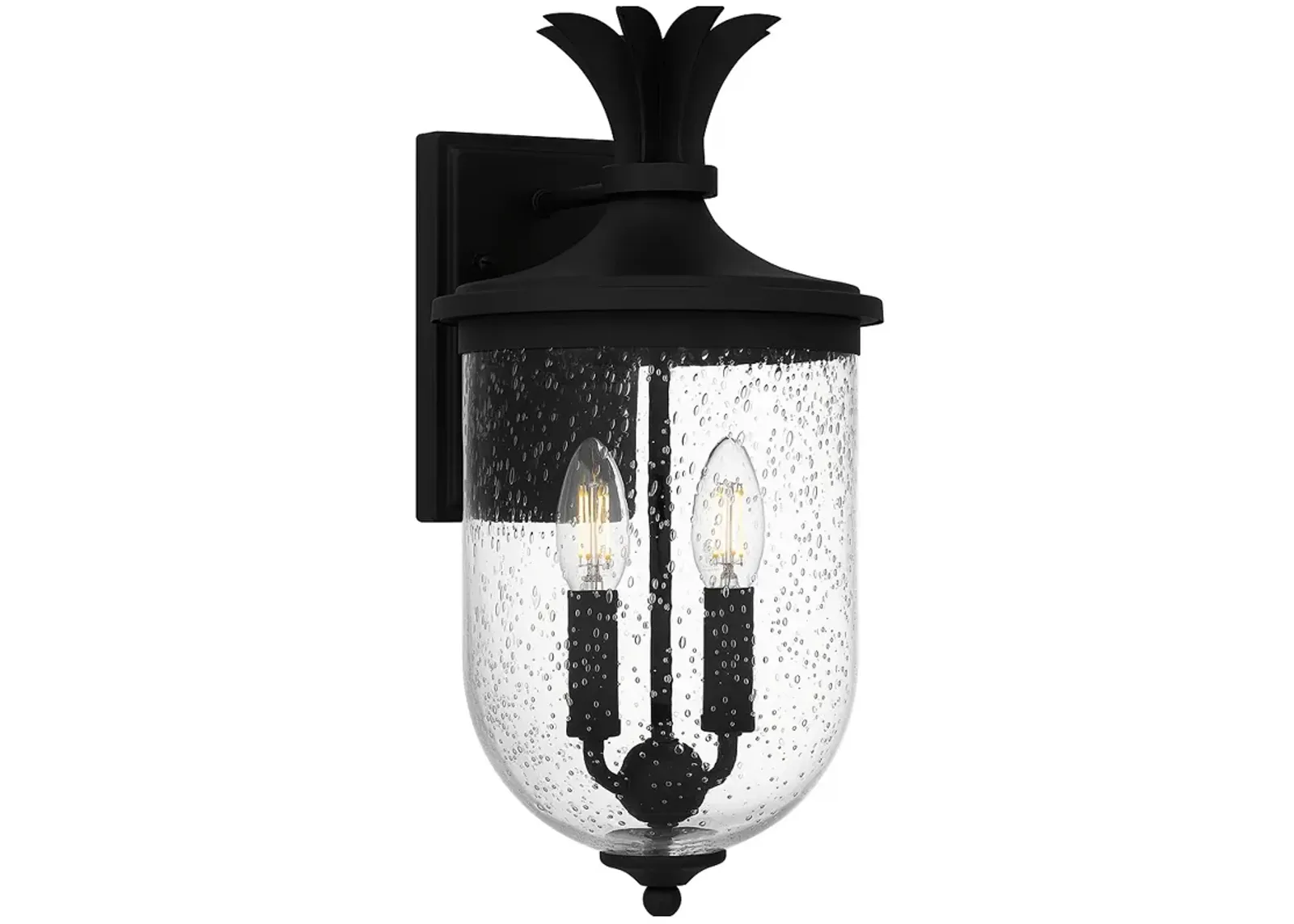 Havana 2-Light Earth Black Outdoor Wall Lantern