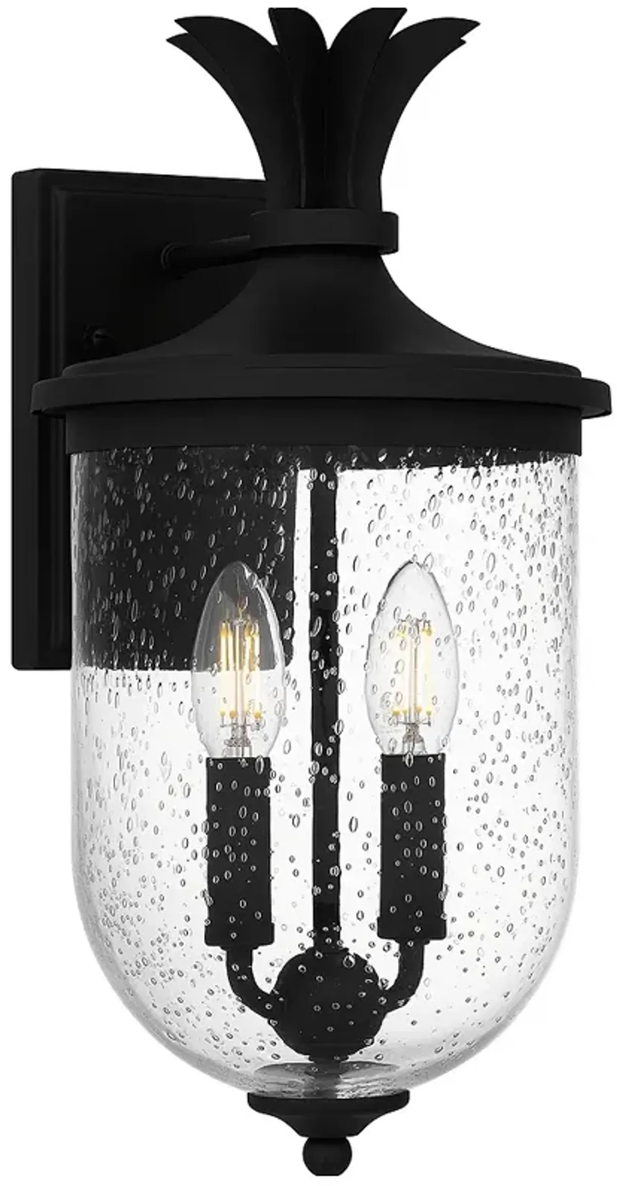 Havana 2-Light Earth Black Outdoor Wall Lantern