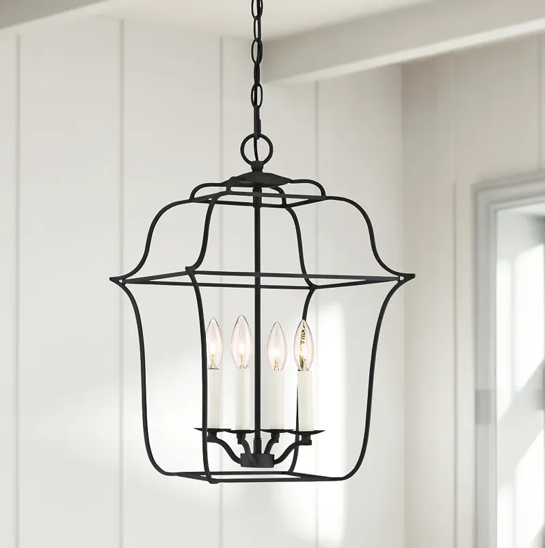 Quoizel Gallery 14" W 4-Light Royal Ebony Cage Chandelier