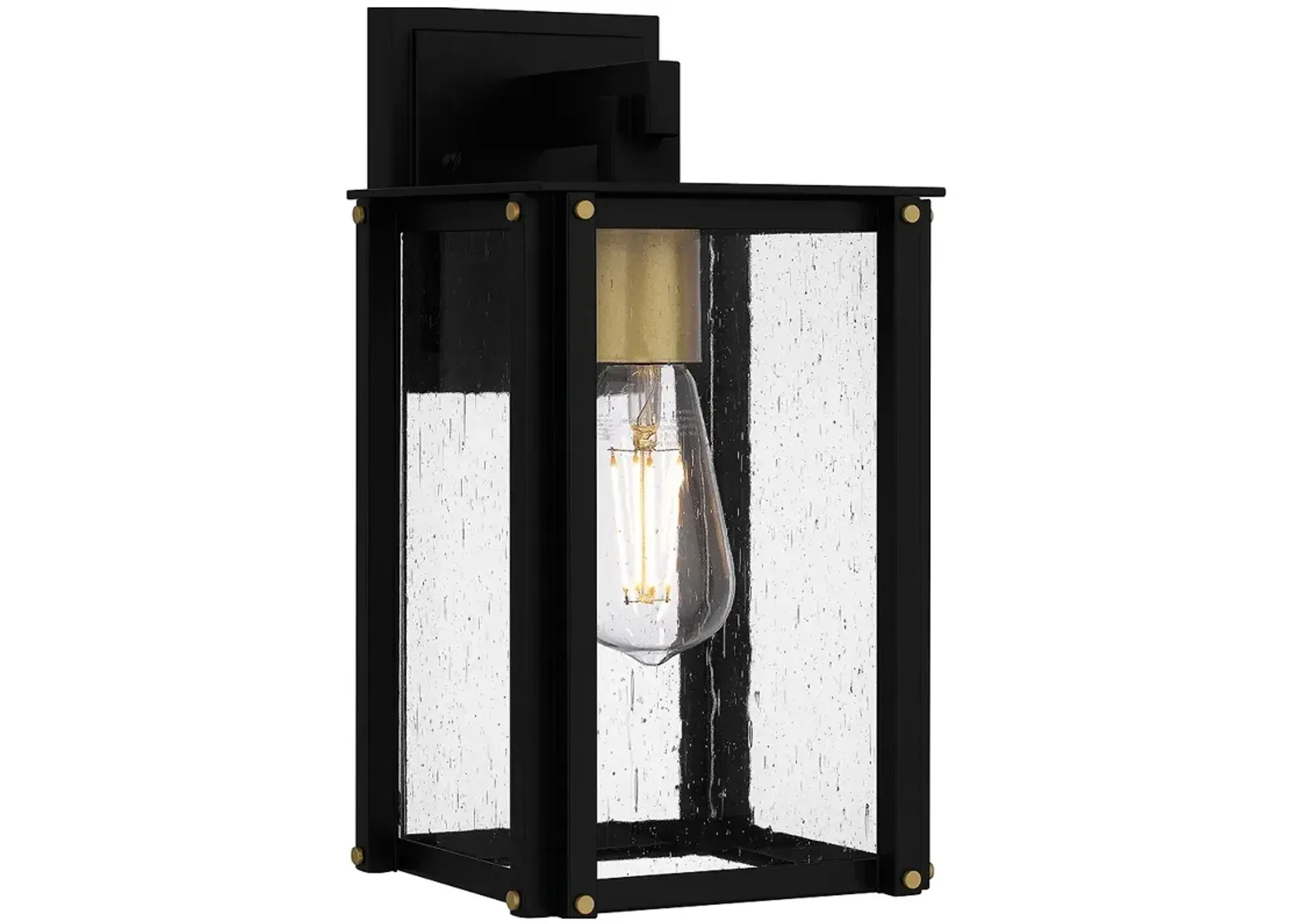 Robbins 1-Light Matte Black Outdoor Wall Lantern