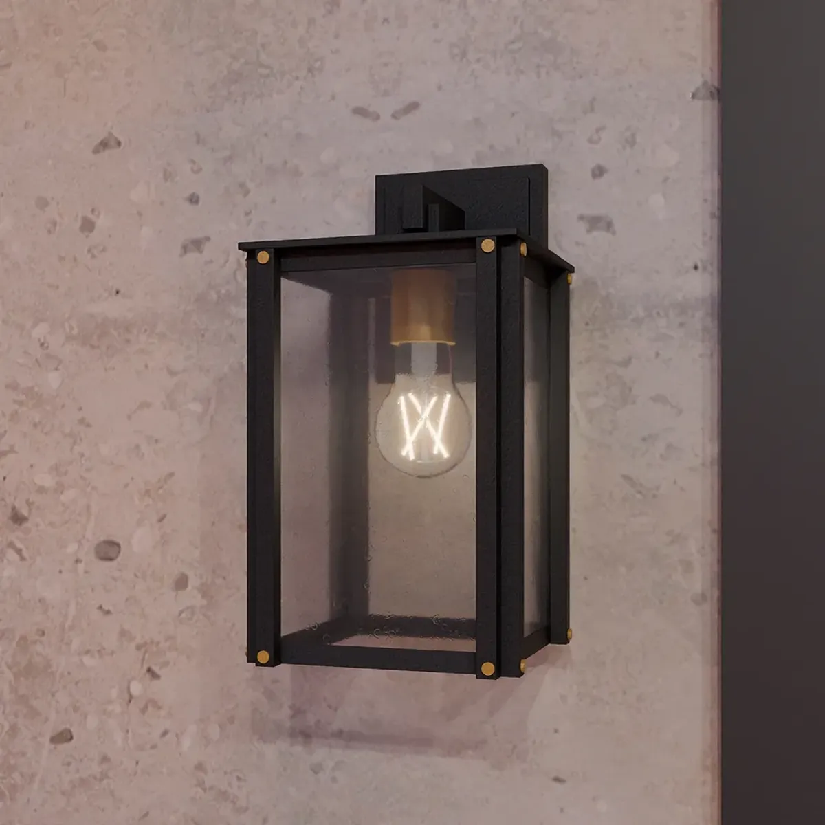 Robbins 1-Light Matte Black Outdoor Wall Lantern