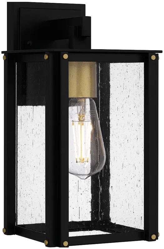 Robbins 1-Light Matte Black Outdoor Wall Lantern