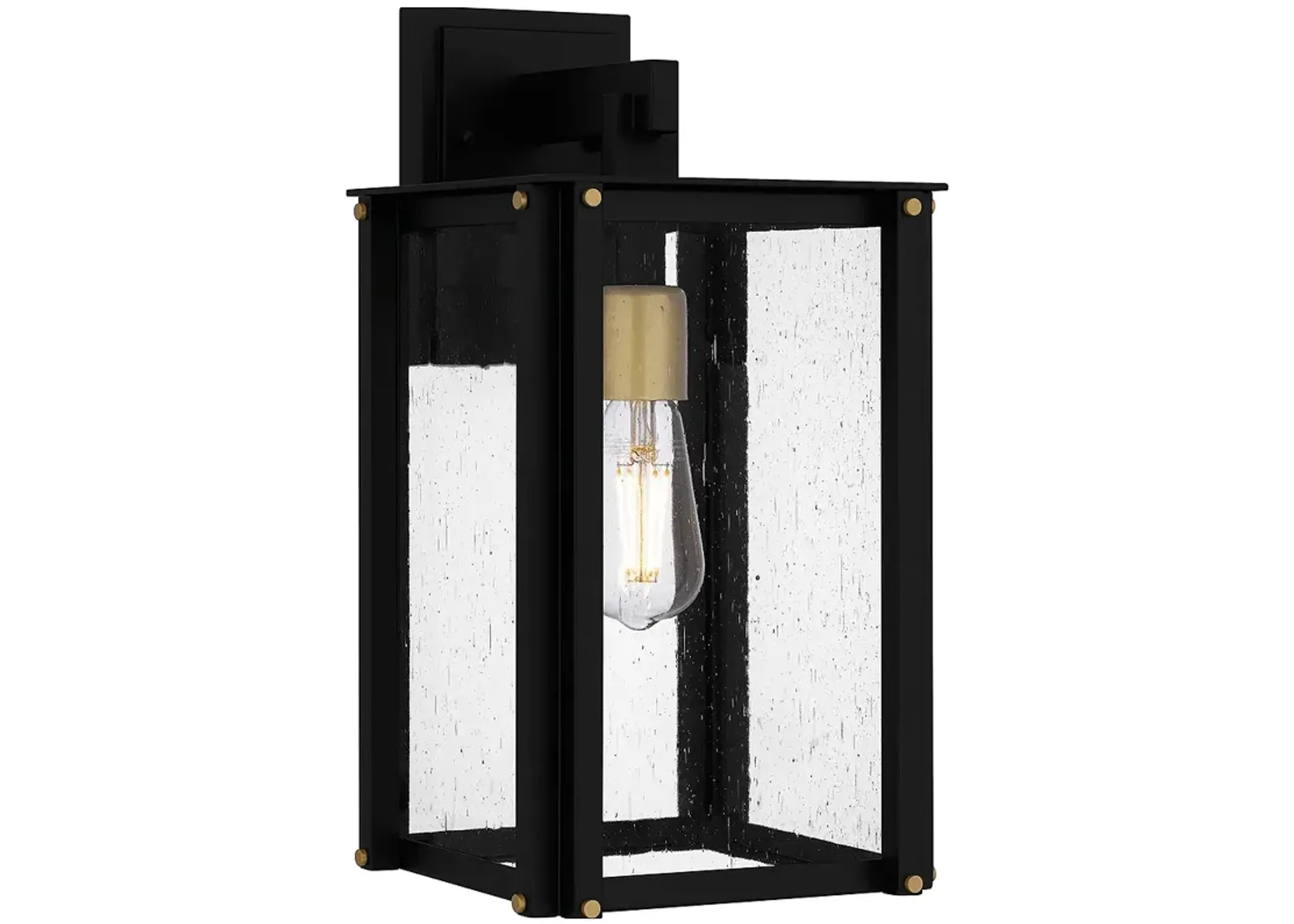 Robbins 1-Light Matte Black Outdoor Wall Lantern