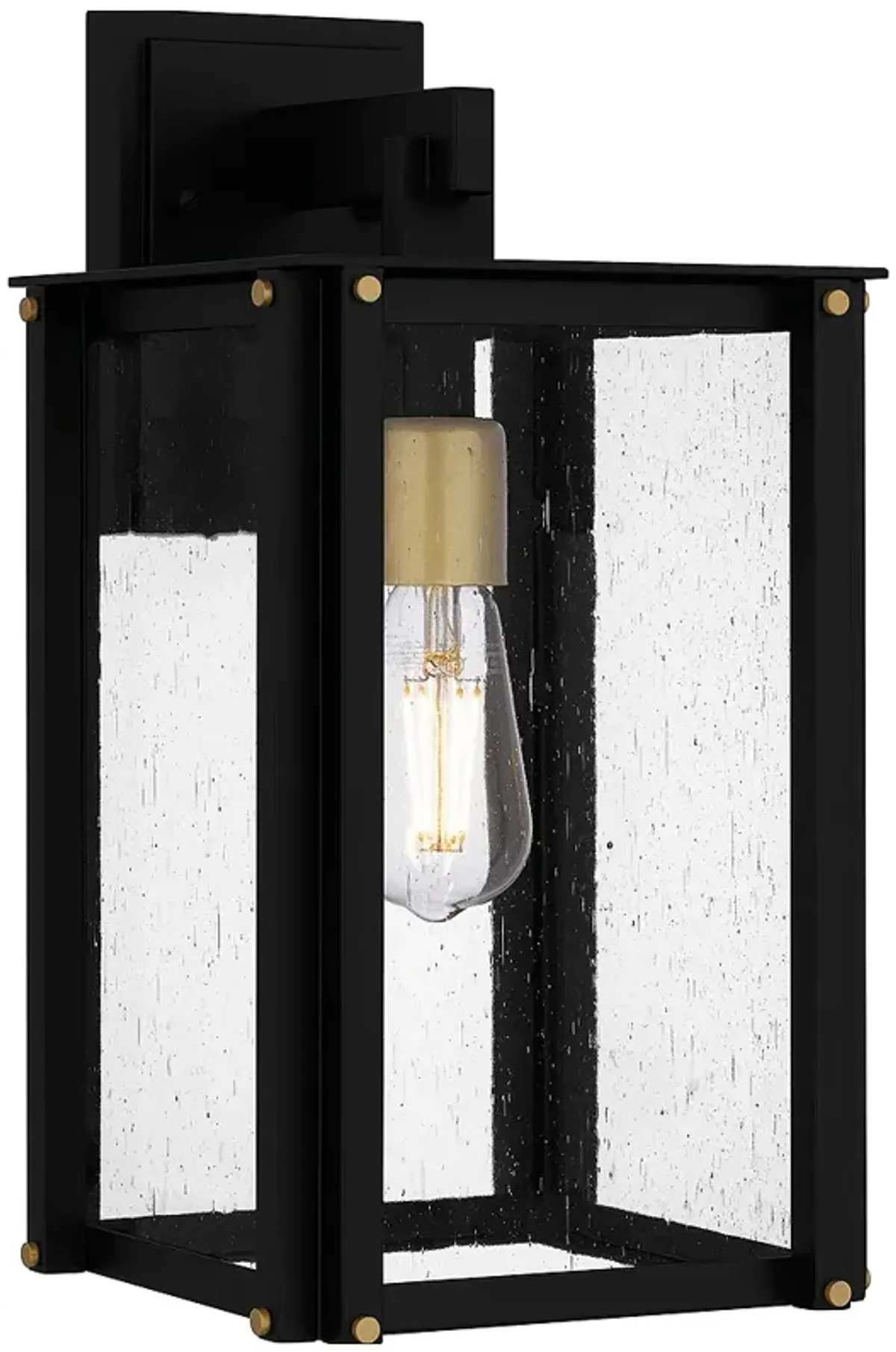 Robbins 1-Light Matte Black Outdoor Wall Lantern