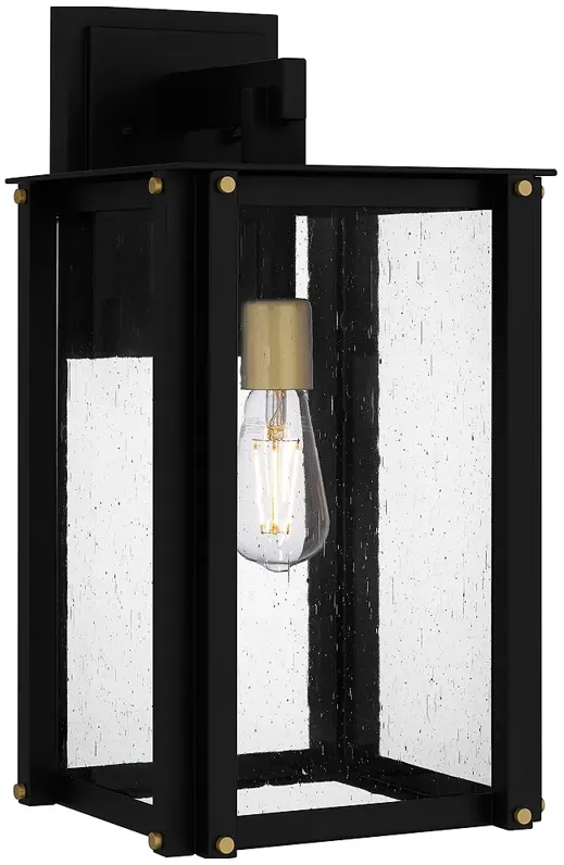 Robbins 1-Light Matte Black Outdoor Wall Lantern