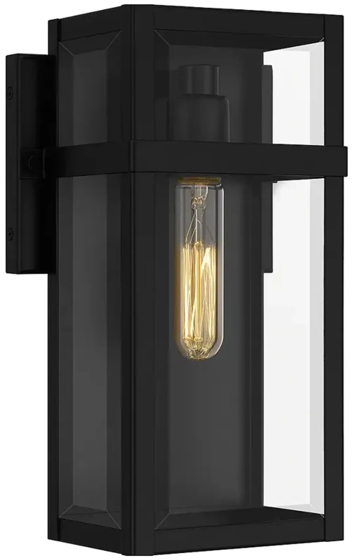 Vanessa 1-Light Matte Black Outdoor Wall Lantern