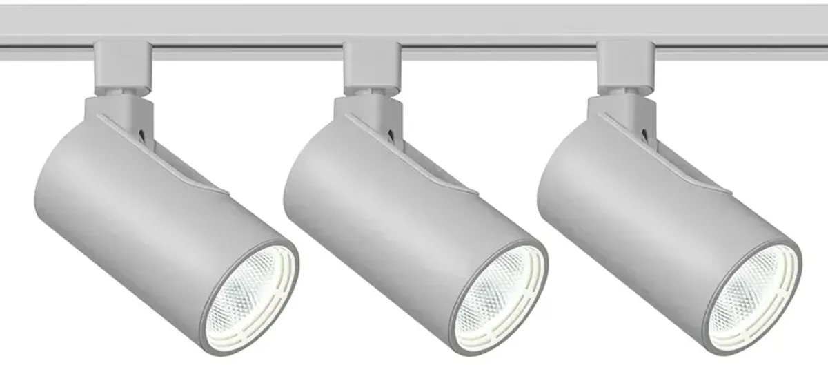 3-Light Silver Cylinder 20W LED Floating Canopy Track Kit