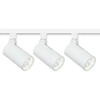 3-Light White Cylinder 30W LED Floating Canopy Track Kit