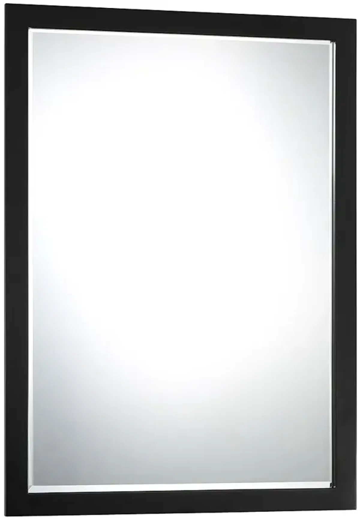 Minka Paradox 24" x 33" Coal Black Rectangular Wall Mirror