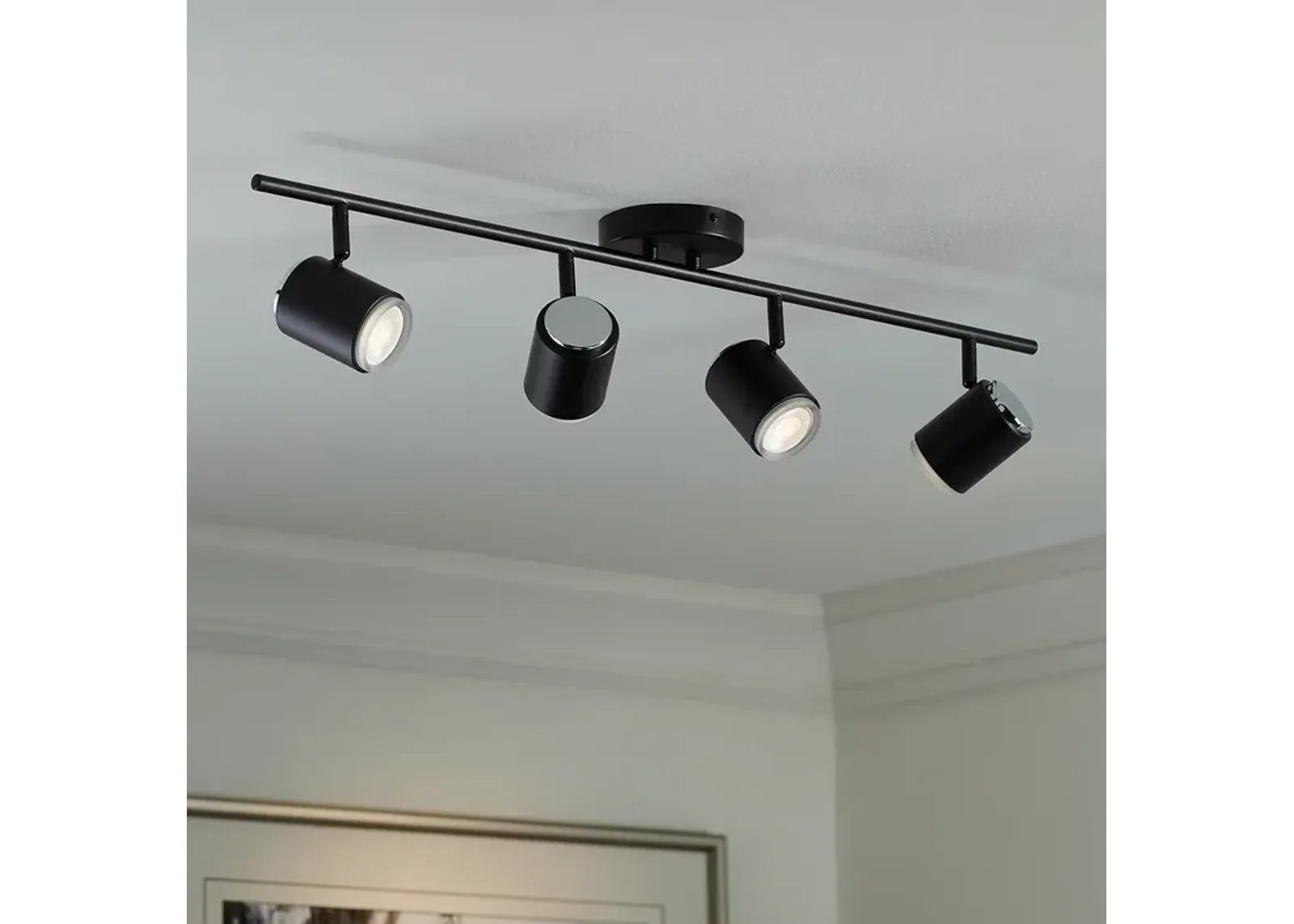 Pro Track  4-Light Black LED Ceiling or Wall Track Fixture