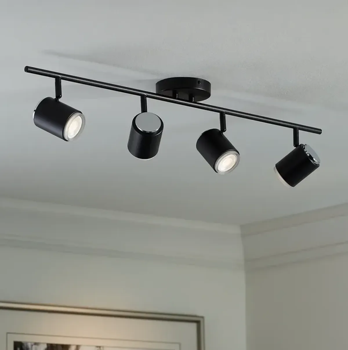 Pro Track  4-Light Black LED Ceiling or Wall Track Fixture