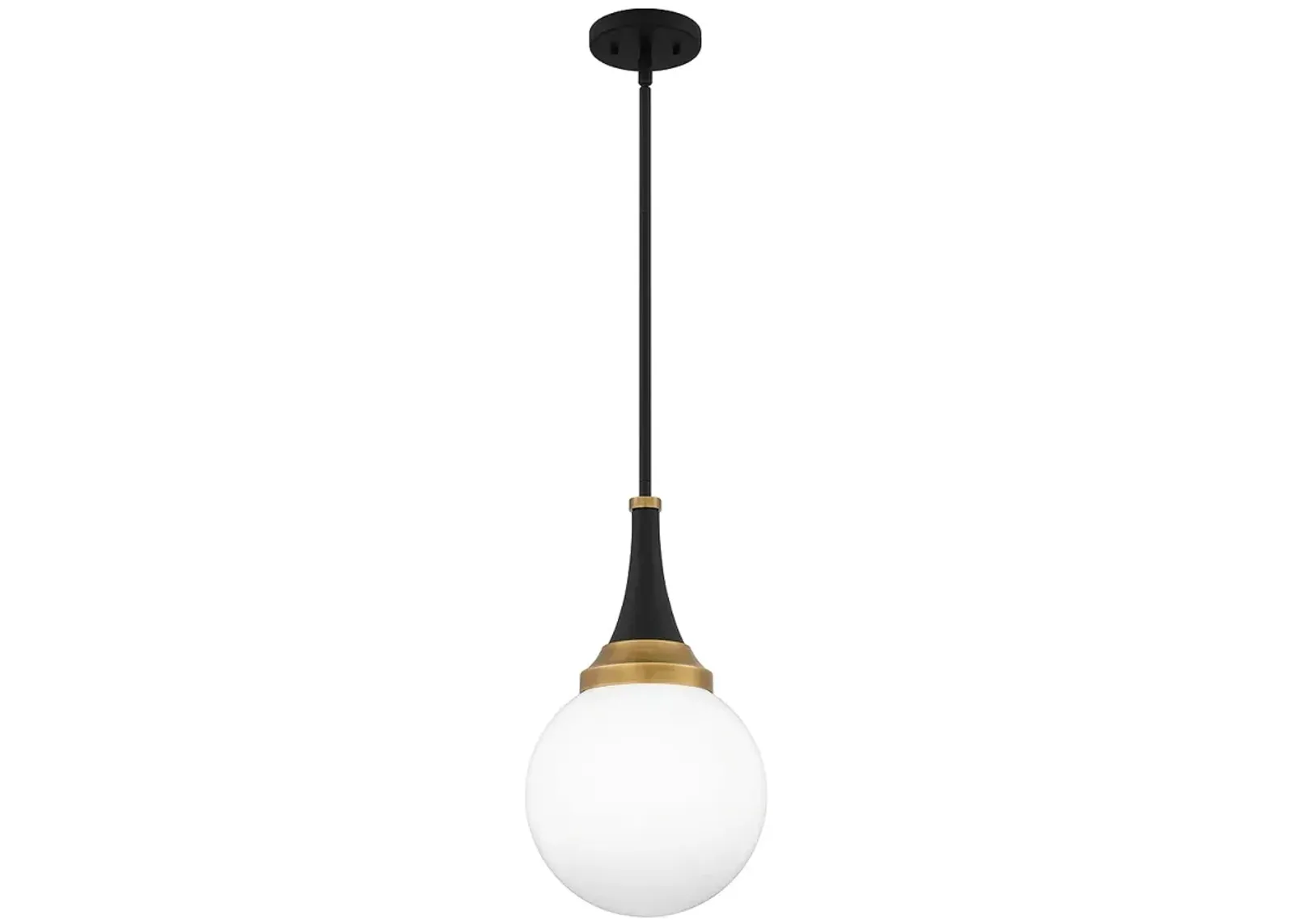 Arlo 1-Light Matte Black Pendant Light