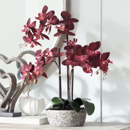 Red Orchid 24" High Faux Flower in Gray Pot