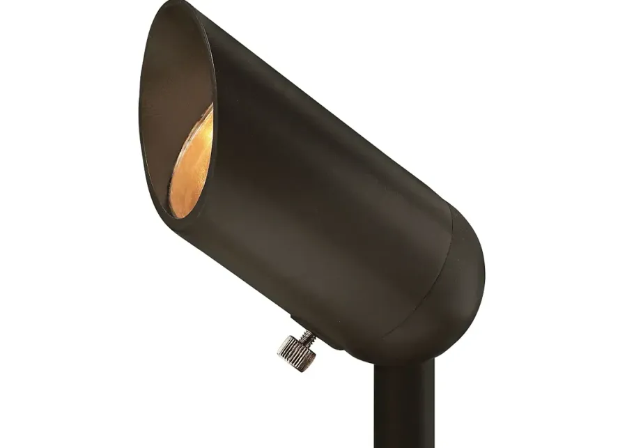 Allen 3 1/4"H Bronze 3W 3000K LED Landscape Accent Spotlight