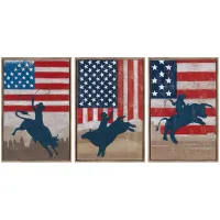Crestview Collection This Ain't My First Rodeo Framed Burlap Painting S