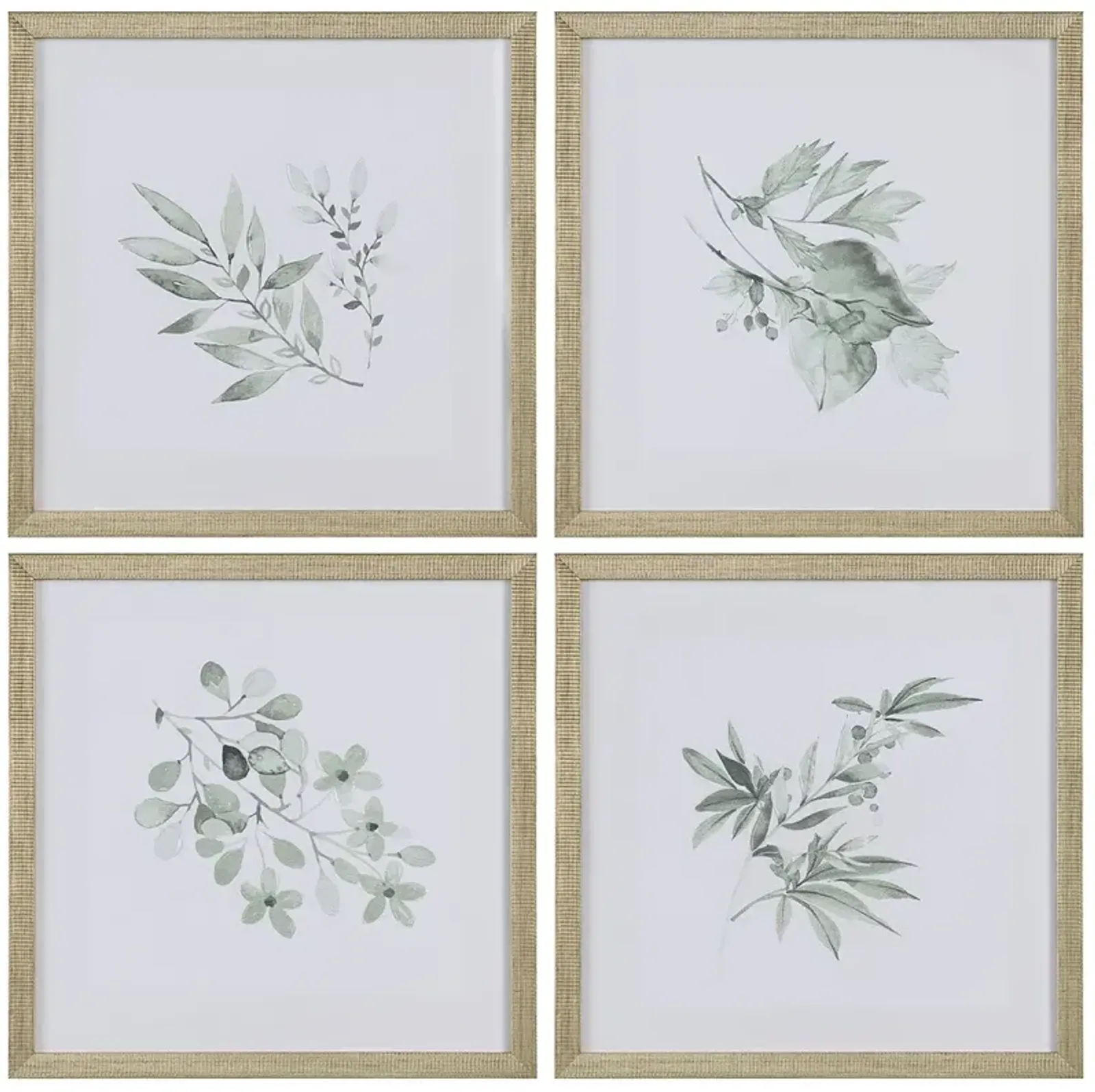 Crestview Collection Sage Foilage Framed Art Set of 4