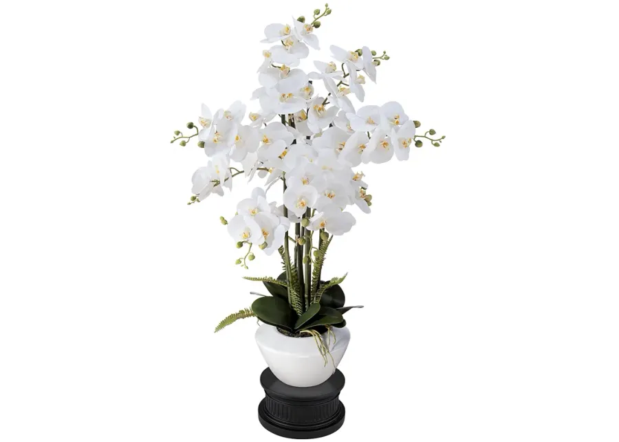 White Phalaenopsis 29" High Faux Orchid Flower With Black Round Riser