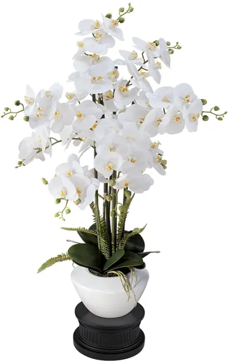 White Phalaenopsis 29" High Faux Orchid Flower With Black Round Riser