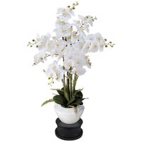White Phalaenopsis 29" High Faux Orchid Flower With Black Round Riser