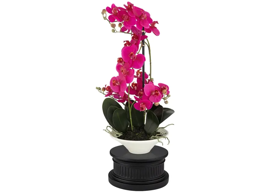 Pink Orchid 24"H Faux Flowers With Black Round Riser