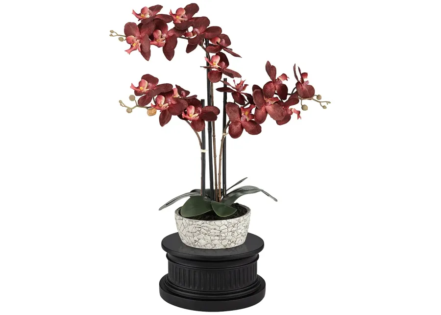 Red Orchid 24"H Faux Flower With Black Round Riser