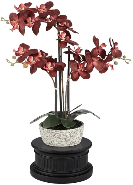 Red Orchid 24"H Faux Flower With Black Round Riser