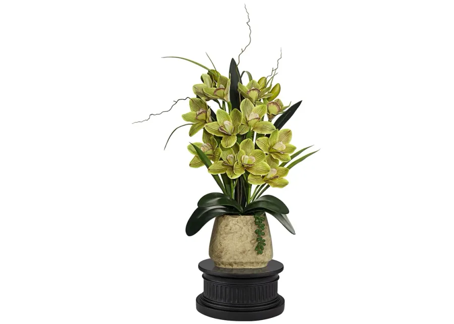 Green Cymbidium Faux Orchid 21 1/2"H With Black Round Riser