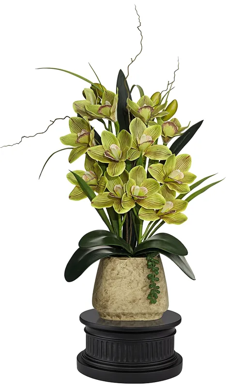 Green Cymbidium Faux Orchid 21 1/2"H With Black Round Riser