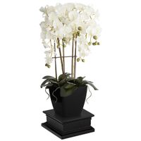 Large White Faux Orchid With Square Black Riser