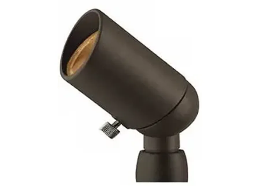 Hinkley Small Bronze Low Voltage Landscape Spotlight