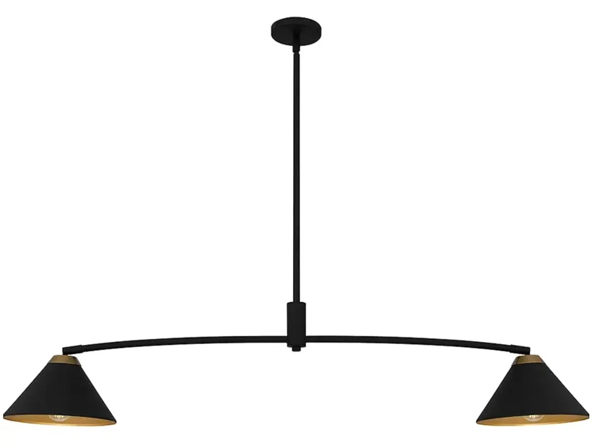 Alscott 2-Light Matte Black Linear Chandelier