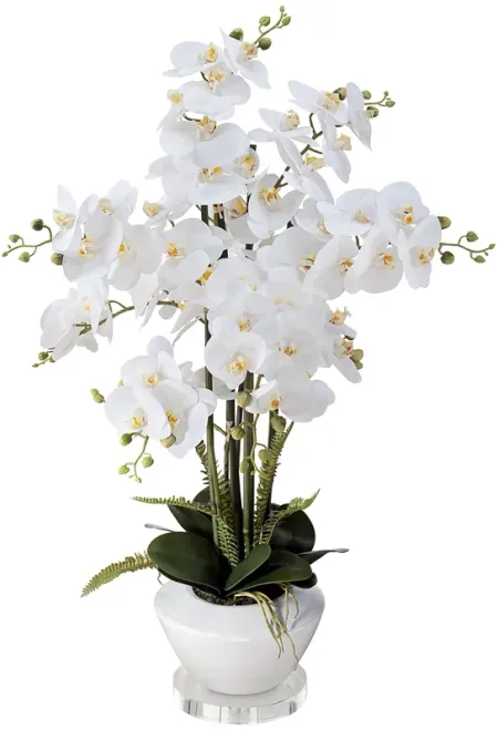 White Phalaenopsis Faux Orchid 29"H With 7" Round Acrylic Riser