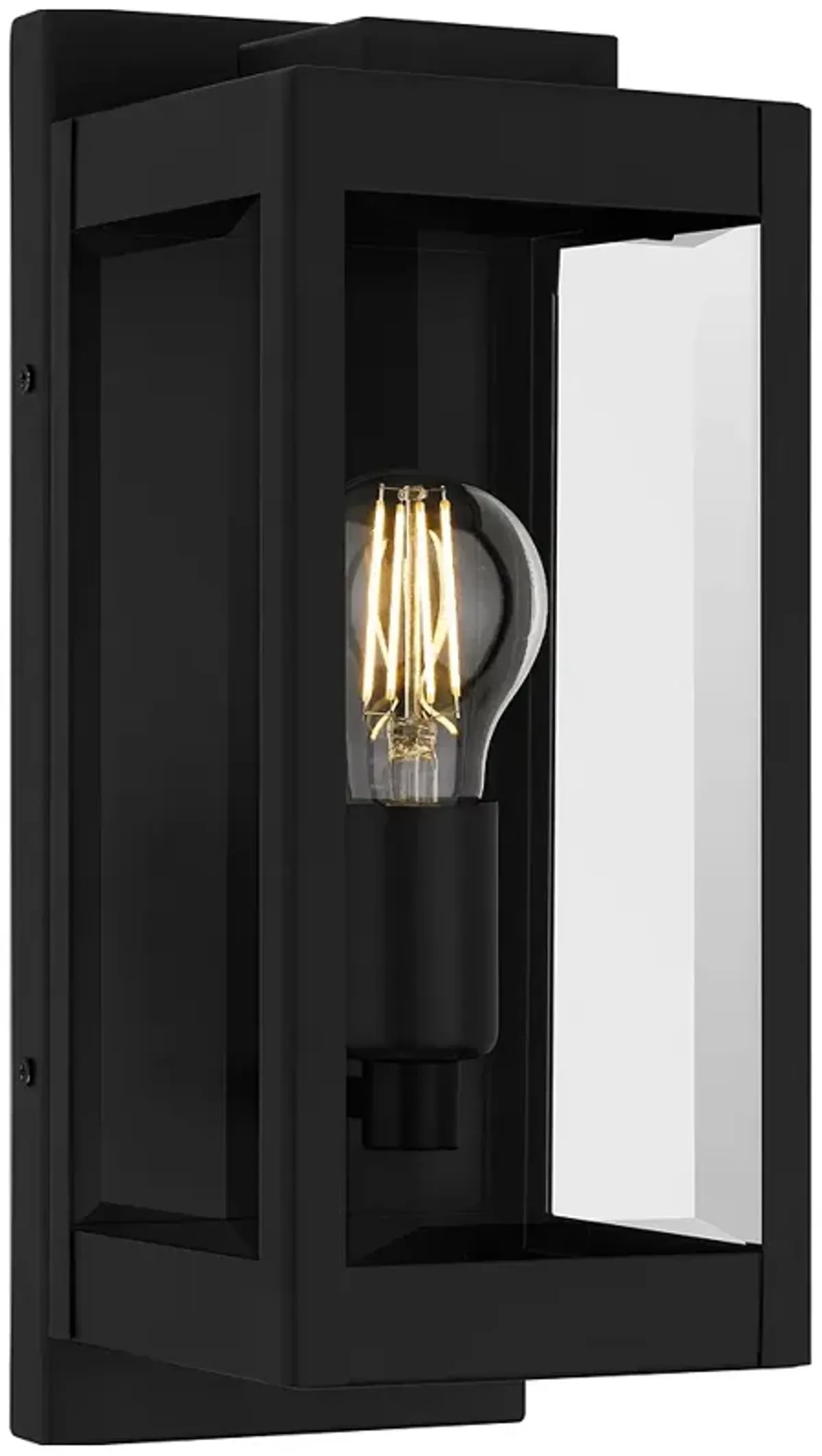 Eastover 1-Light Earth Black Outdoor Wall Lantern