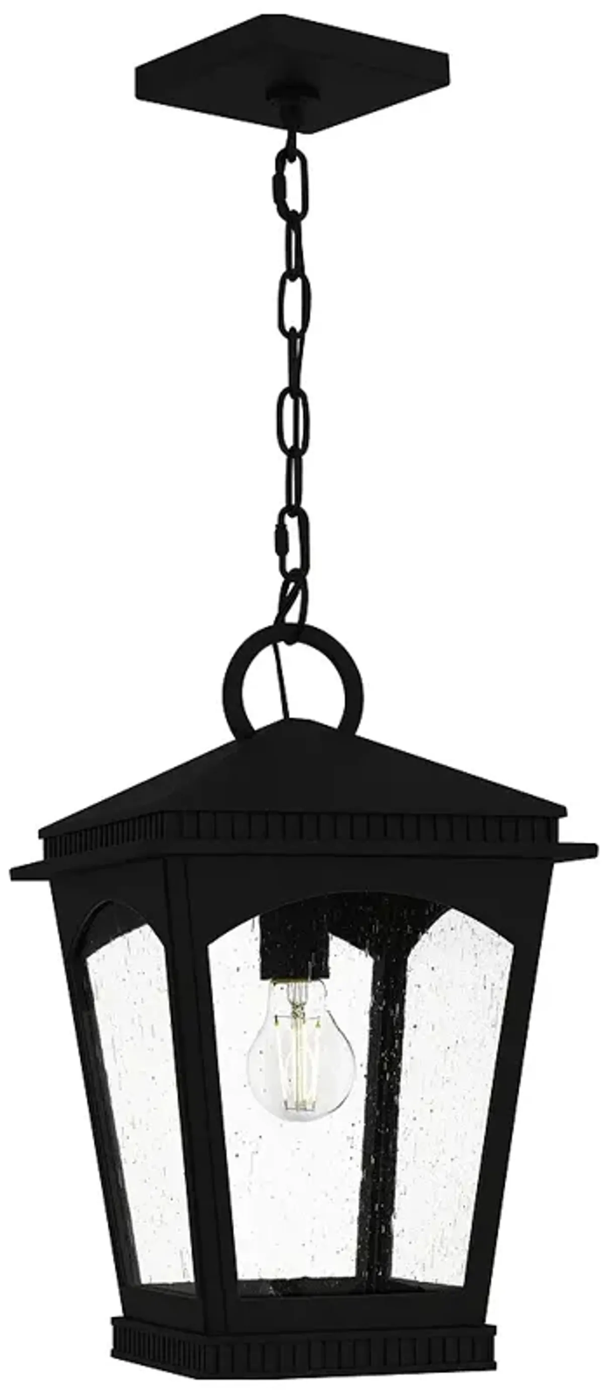 Huck 1-Light Earth Black Outdoor Hanging Lantern