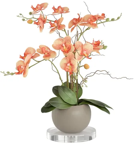 Orange Orchid 22 1/2"H Faux Floral With 7" Round Acrylic Riser